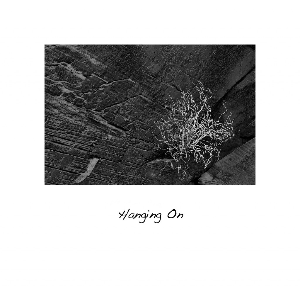 _O0E5134BWmatted Hanging On