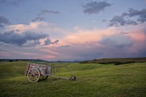2011May20_Tuscany_1534.jpg
