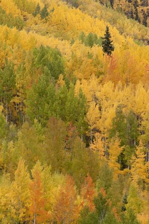2011Sep29_Colorado_0292.jpg