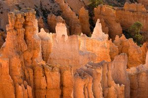 Bryce_081029_1070.jpg