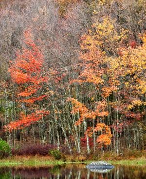 Oct182010_PEEC_0256.jpg
