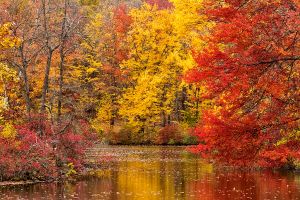 Oct222010_PEEC_0149.jpg