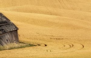 2011Aug07_Palouse_0010web.jpg