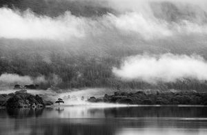 20120704_4594web.jpg