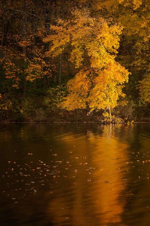 20121018_0304web.jpg