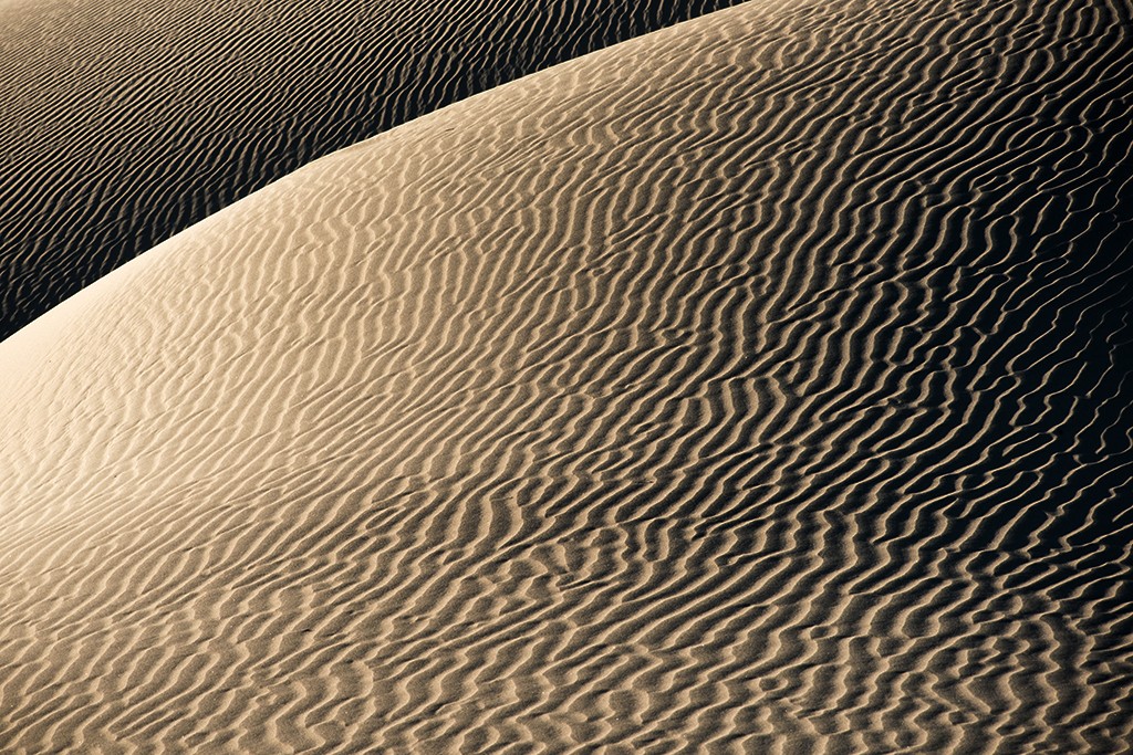 Dune Contrasts 2103 rev