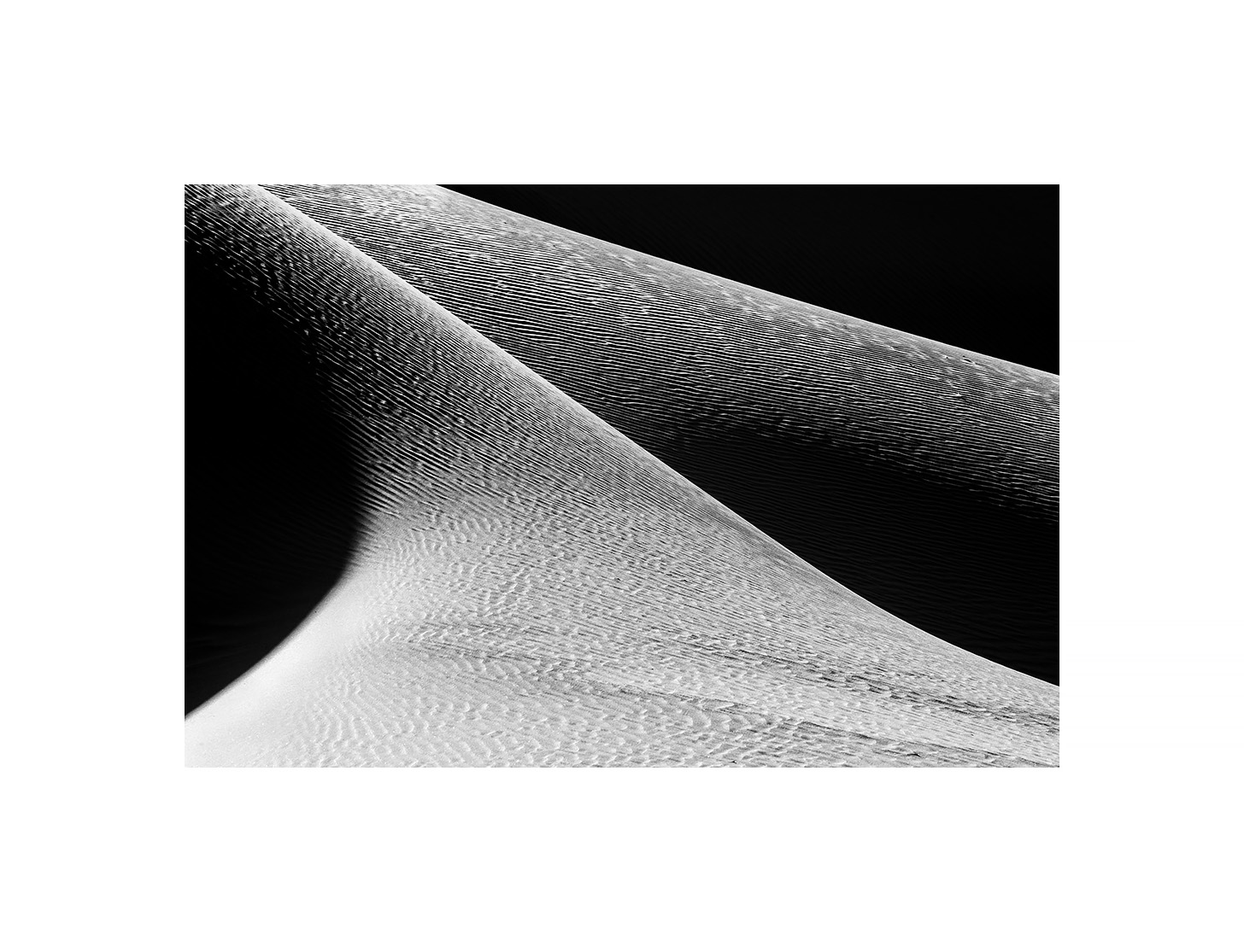 Dune Abstract